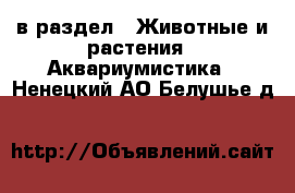  в раздел : Животные и растения » Аквариумистика . Ненецкий АО,Белушье д.